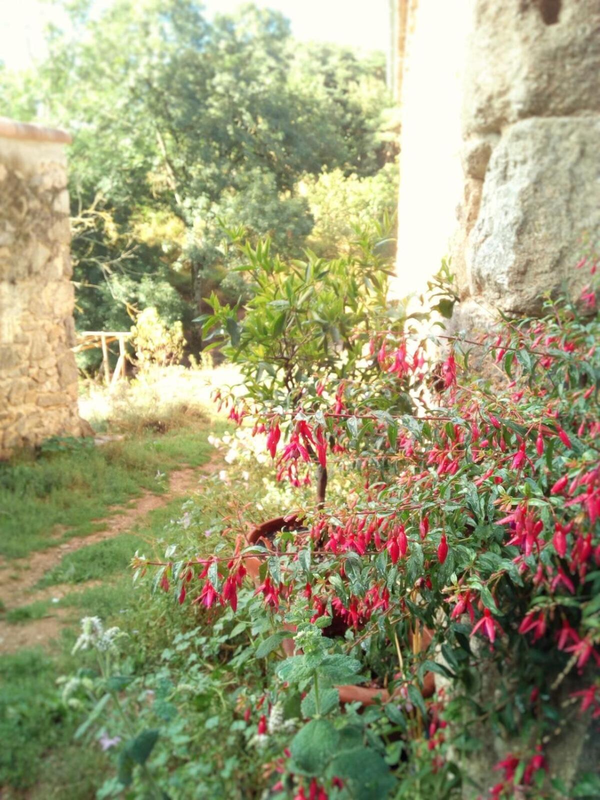 Villa Ferme de Samson Saint-Péray Habitación foto